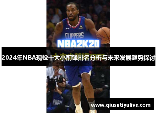 2024年NBA现役十大小前锋排名分析与未来发展趋势探讨