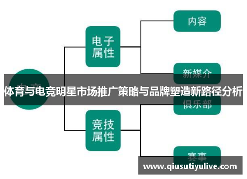 体育与电竞明星市场推广策略与品牌塑造新路径分析